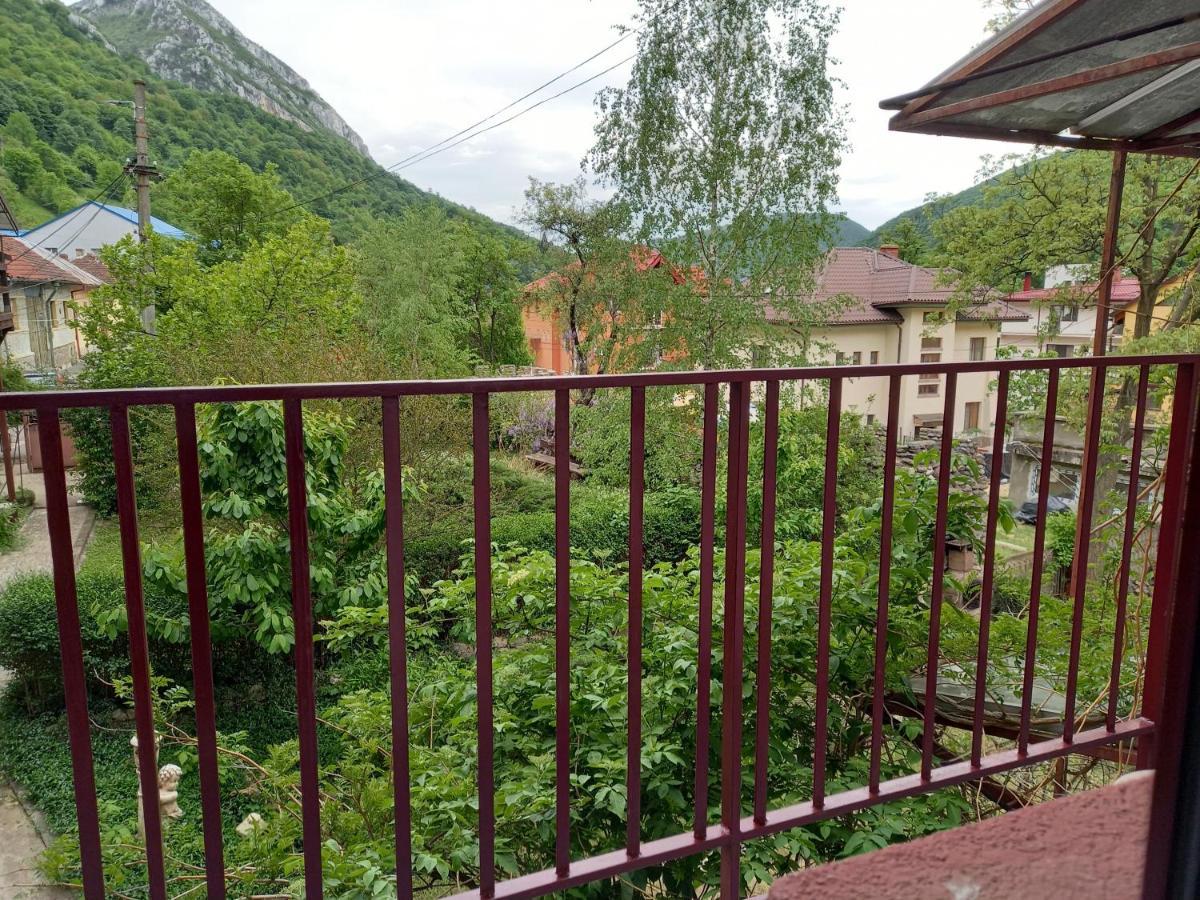 Hotel Elite Băile Herculane Extérieur photo